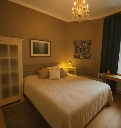 Cozy, Quiet, And Classic 奥斯陆